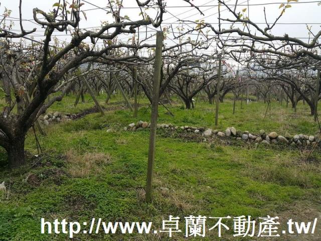 苗栗農地-0