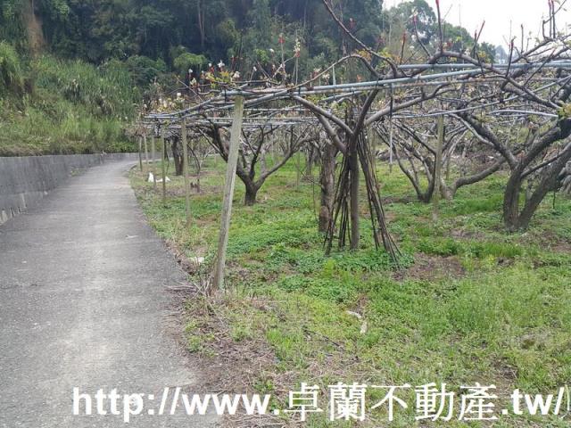 苗栗農地-2