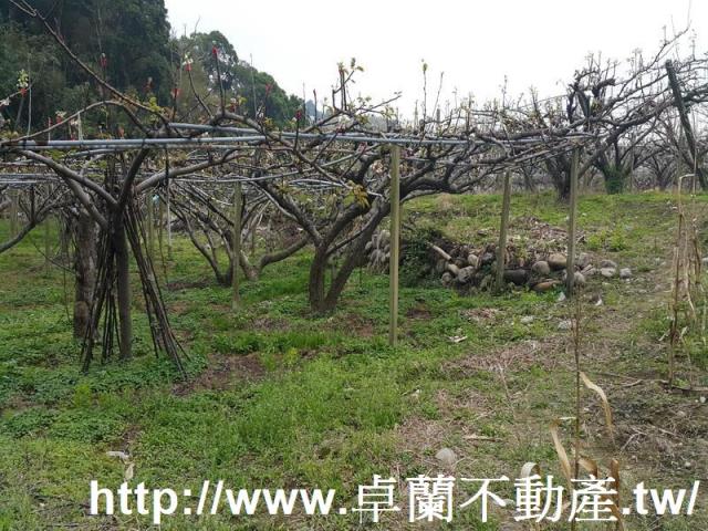 苗栗農地-3