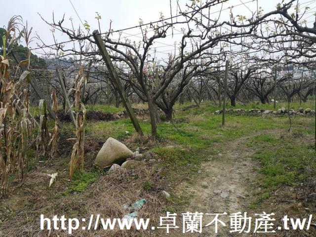 苗栗農地-5