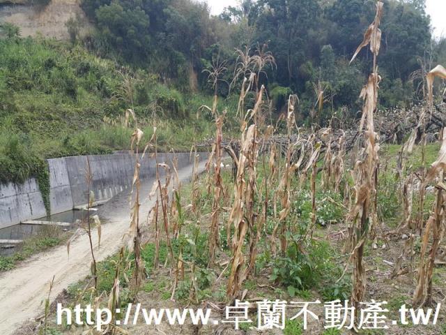 苗栗農地-7