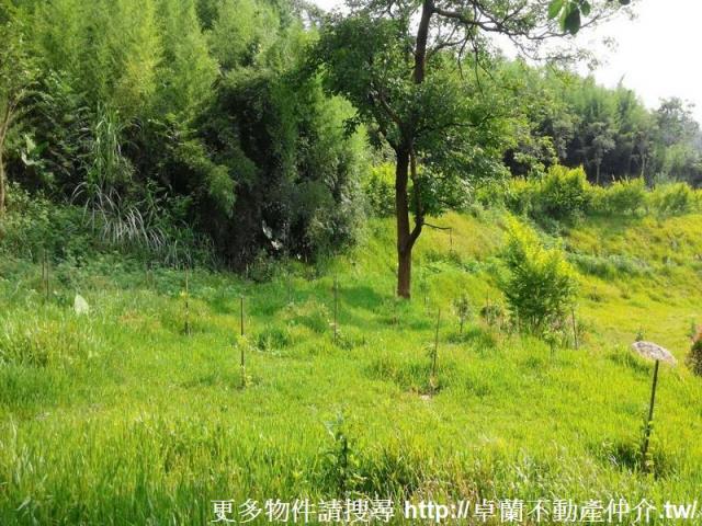 苗栗農地-2