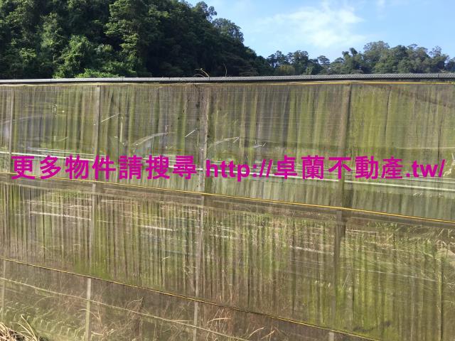 苗栗大湖農地-4