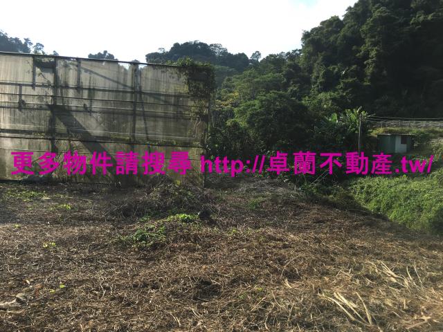 苗栗大湖農地-5