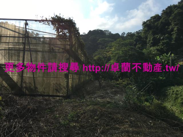 苗栗大湖農地-6