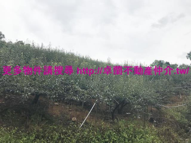 卓蘭農地-0