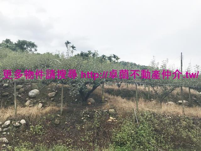 卓蘭農地-2