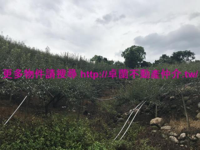 卓蘭農地-4