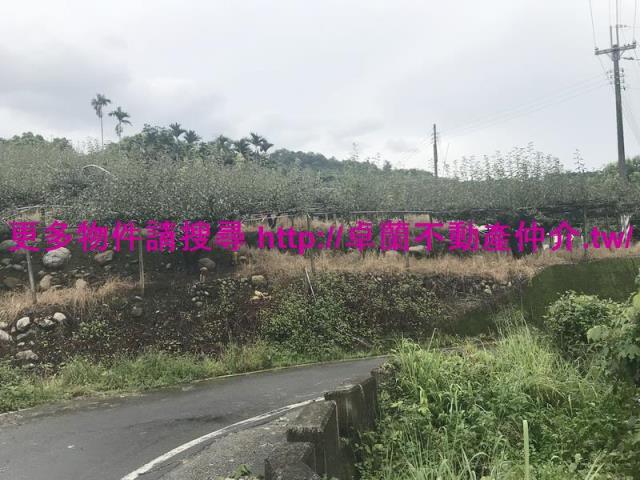 卓蘭農地-6