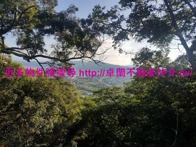 苗栗農地-9