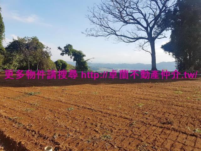 苗栗農地-3