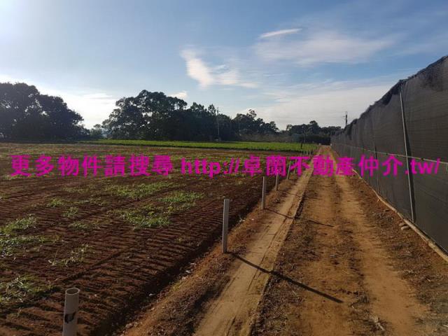 苗栗農地-5