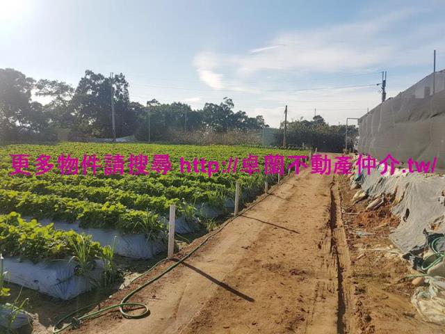 苗栗農地-6