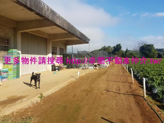 苗栗農地-7