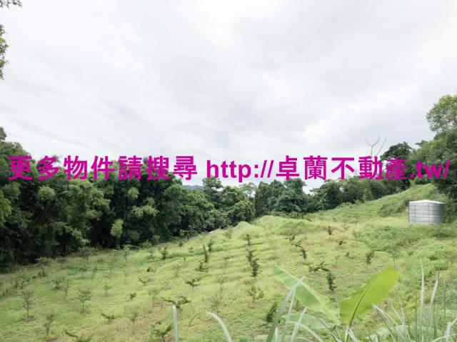 卓蘭農地-0