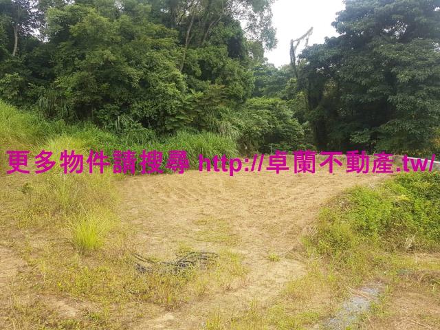 卓蘭農地-9
