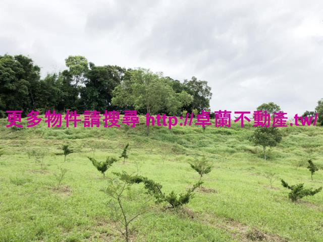 卓蘭農地-1