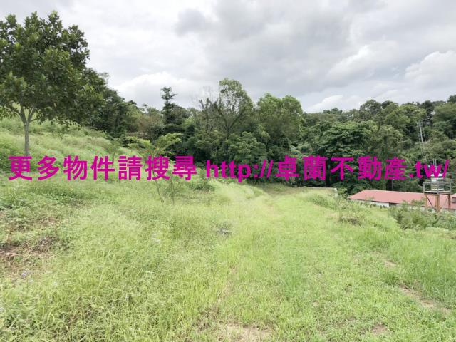卓蘭農地-3