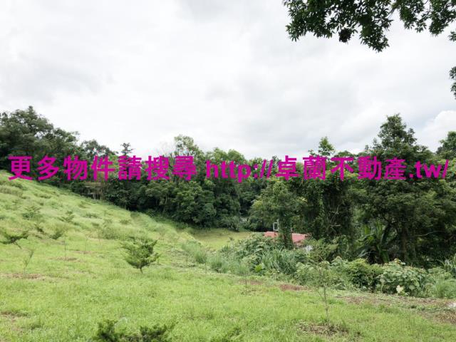 卓蘭農地-4
