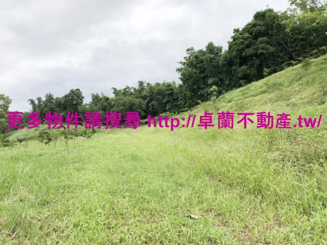 卓蘭農地-5