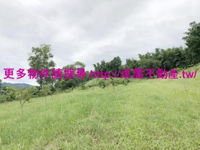 卓蘭農地-6