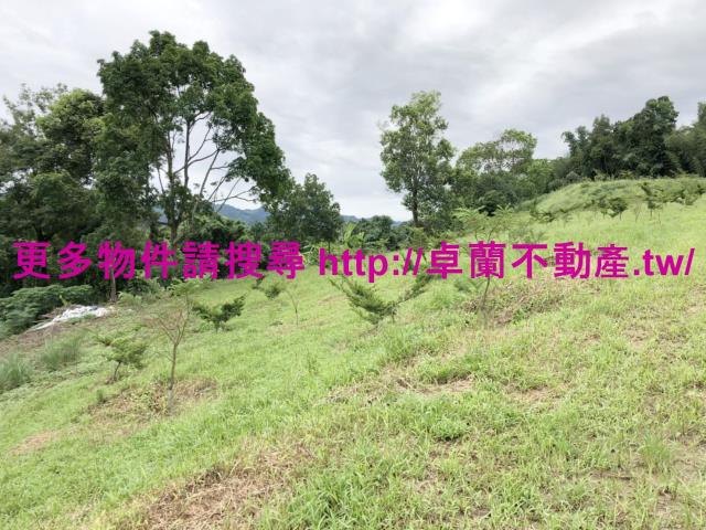 卓蘭農地-7