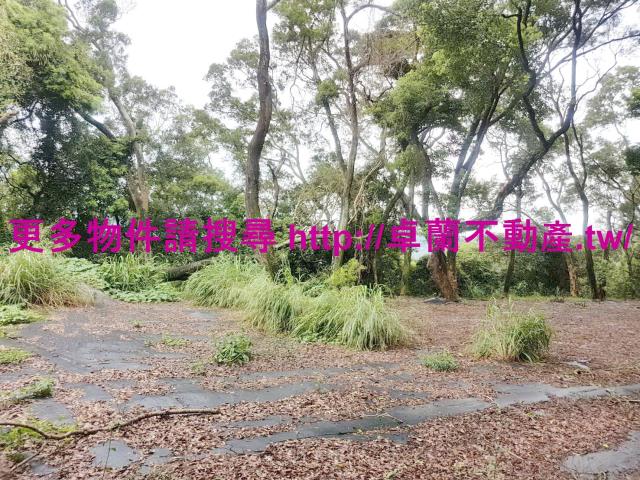 苗栗卓蘭農地-1