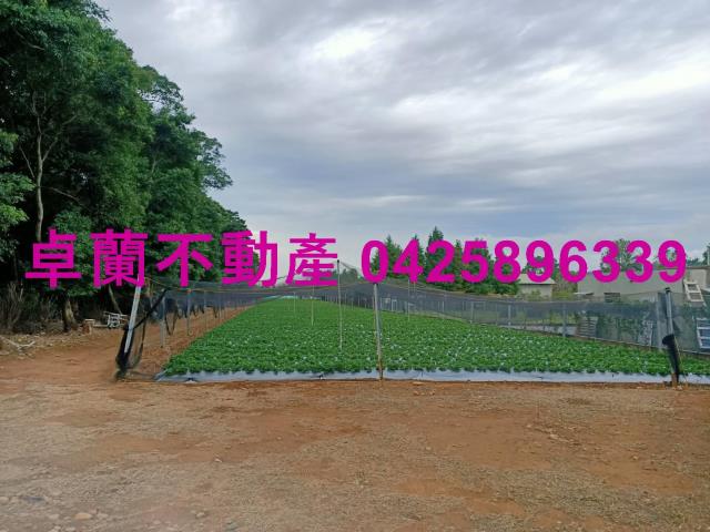 苗栗卓蘭農地-0