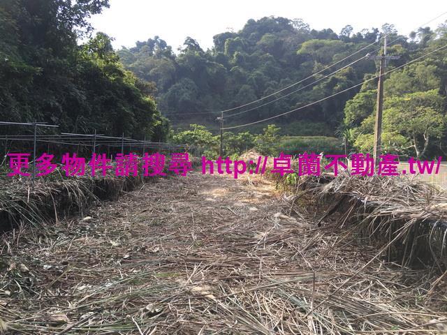 苗栗大湖農地-1