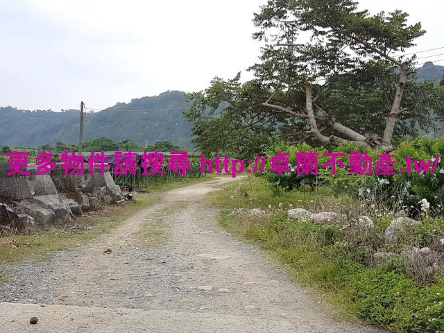 苗栗卓蘭農地-10