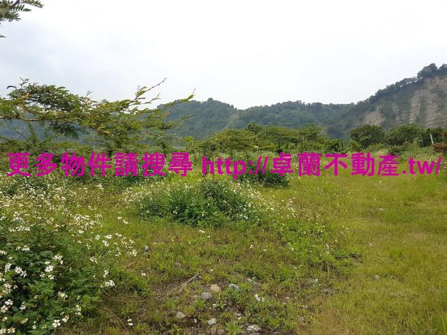 苗栗卓蘭農地-4