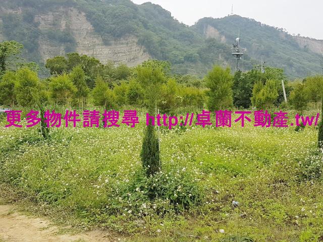 苗栗卓蘭農地-8