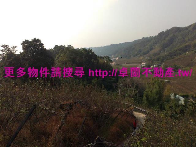 卓蘭農地-0