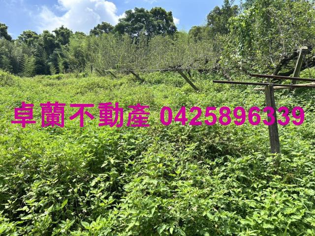 卓蘭農地-5