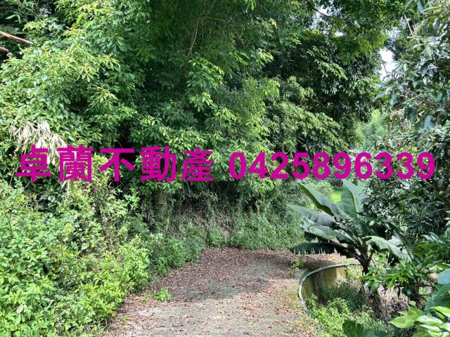 卓蘭農地-6
