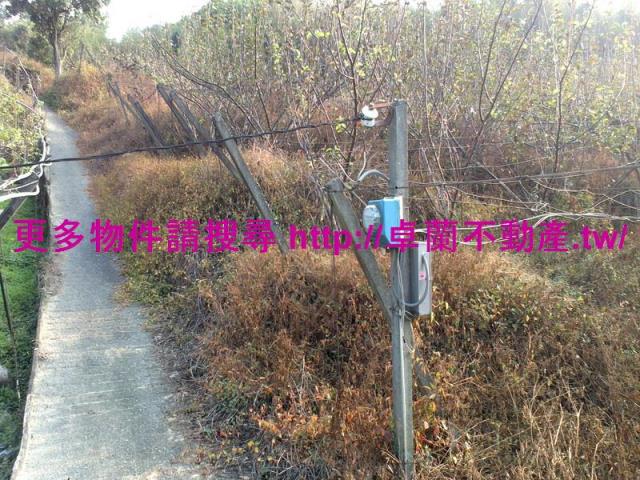 卓蘭農地-2