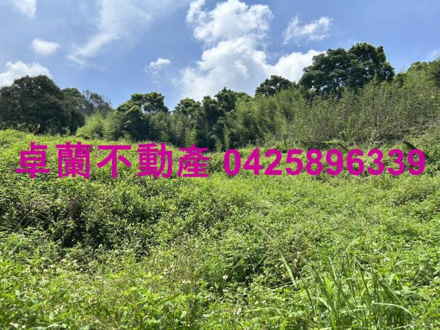 卓蘭農地-7