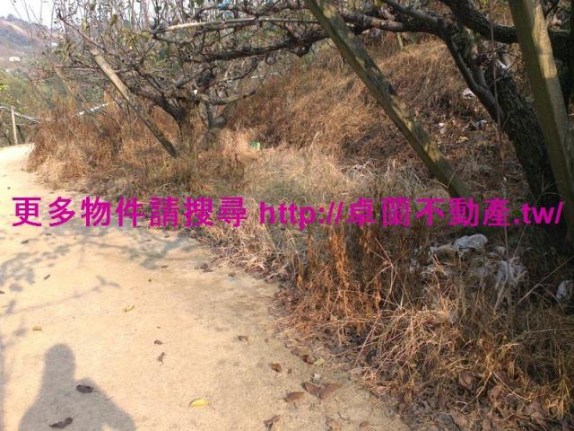 卓蘭農地-3