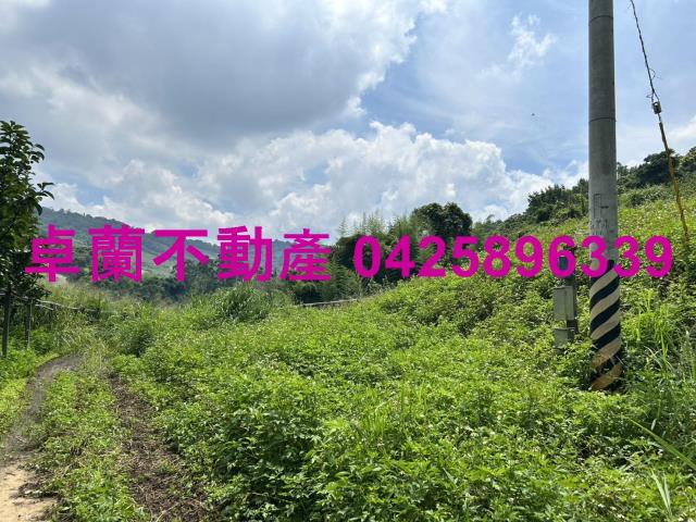 卓蘭農地-8