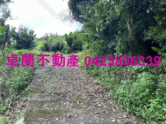 卓蘭農地-11