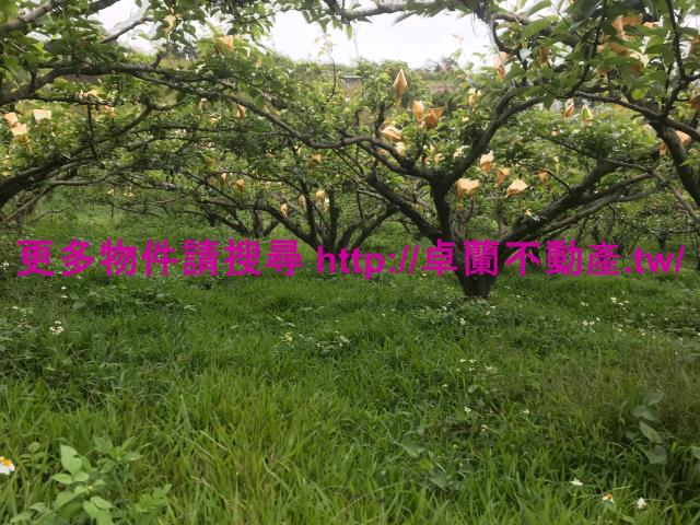 苗栗卓蘭農地-0