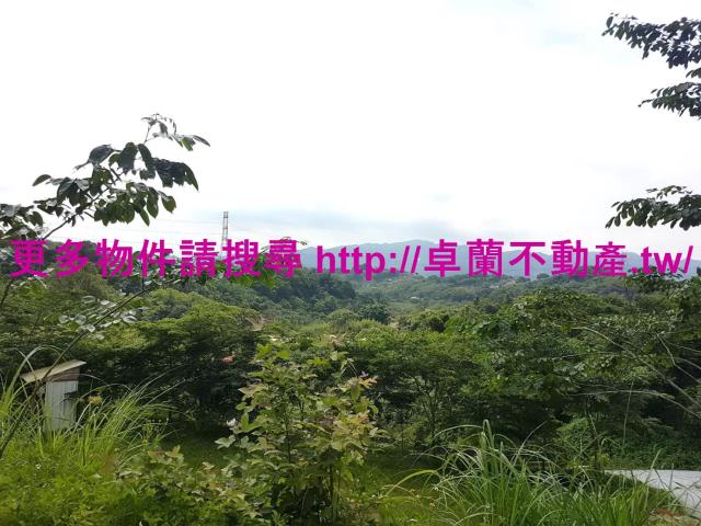 苗栗農地-9