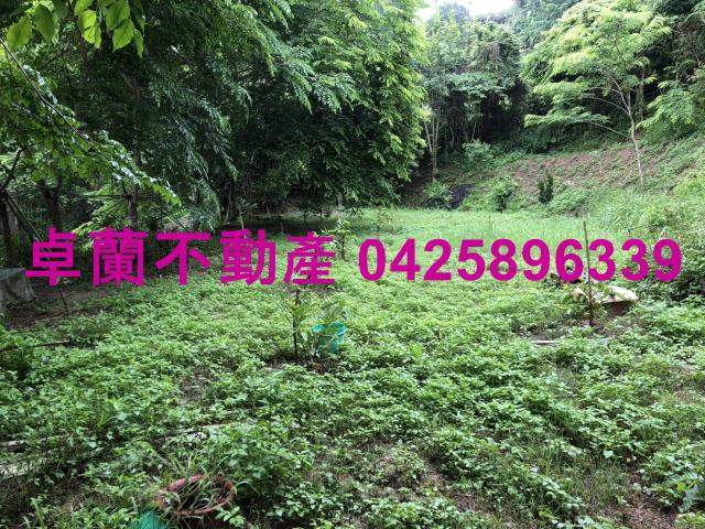 苗栗農地-11