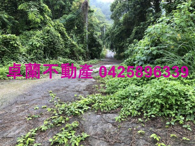 苗栗農地-12