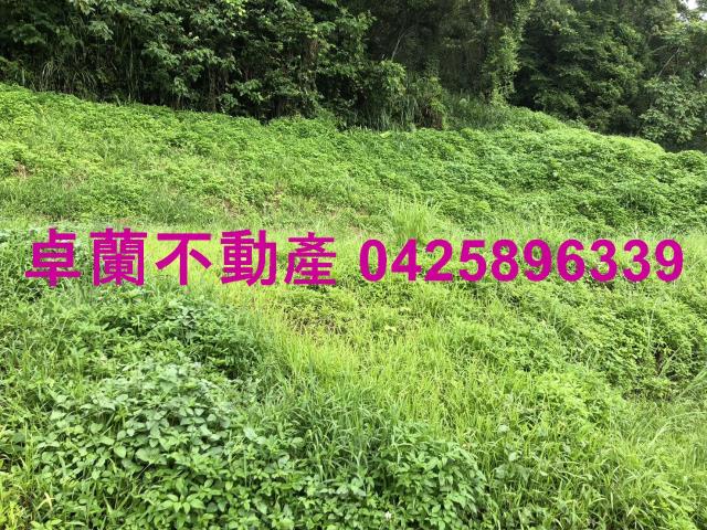 苗栗農地-13
