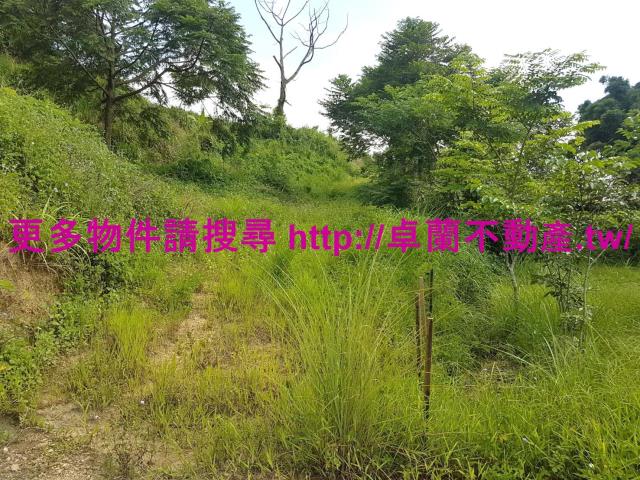 苗栗農地-3