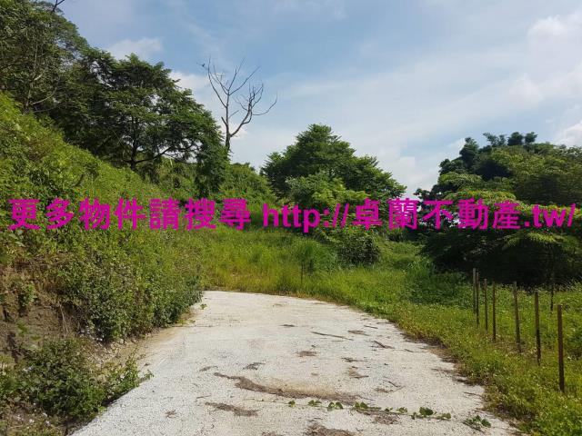 苗栗農地-4