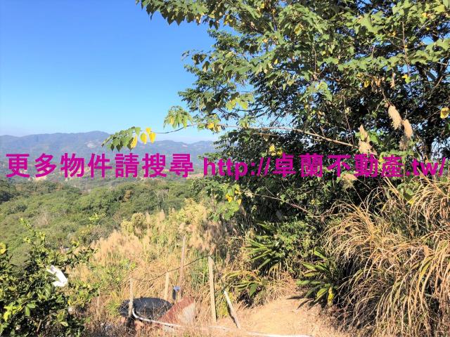 苗栗卓蘭農地-1