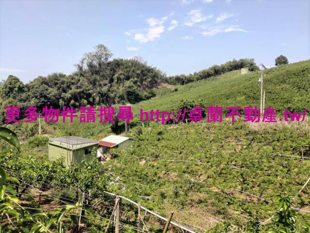 卓蘭農地-0