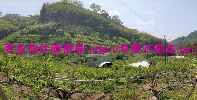 卓蘭農地-2